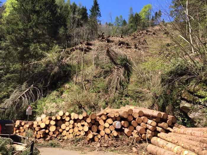 Interventi - Consorzi Forestali