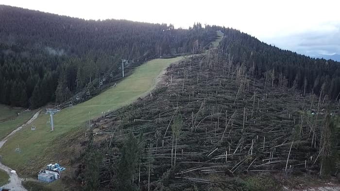 Vaia - Alpe Cimbra