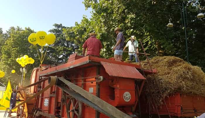 ATTUALITÀ - Agricoltura: 2,8 milioni per proteggere le coltivazioni lombarde dagli insetti