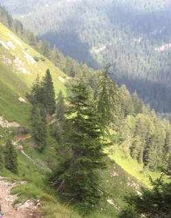 Intervento Soccorso Alpino - Trentino
