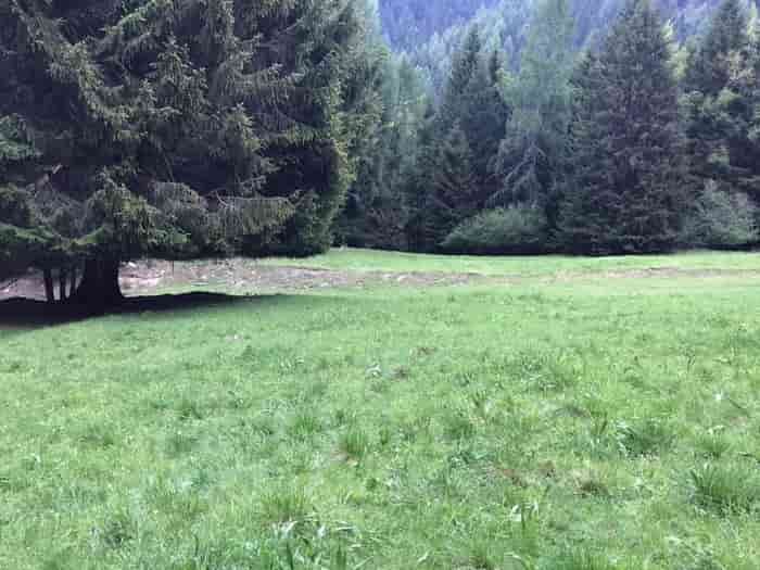 BRENO - Iniziative per ragazzi e adolescenti in Valle Camonica 