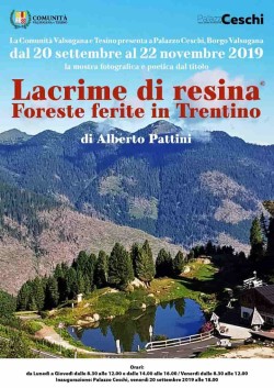 lacrime di resina Borgo