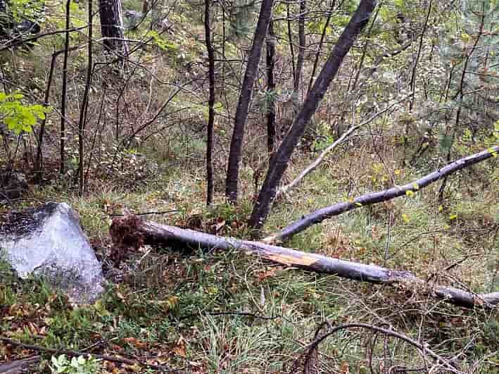 Sassi Monte Rocchetta