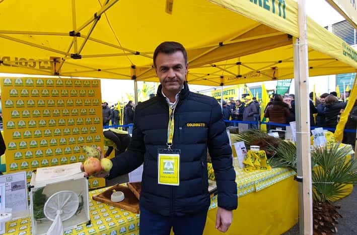 Coldiretti cimice - Prandini
