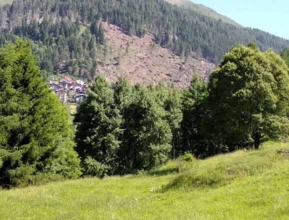 Tempesta Vaia - Pezzo