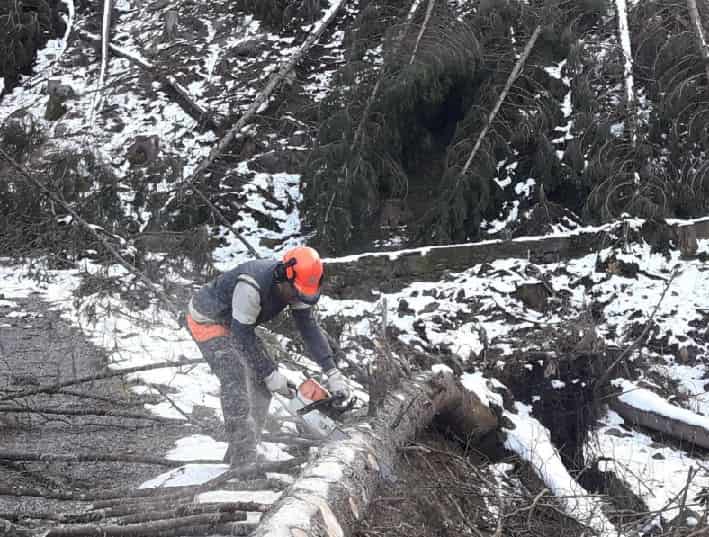 Tempesta Vaia - interventi Valle Camonica