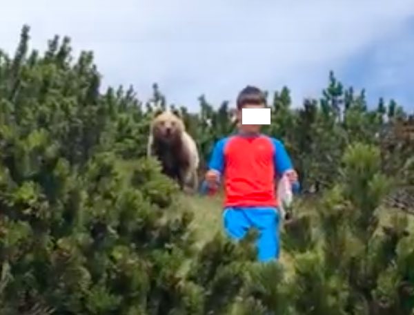 orso