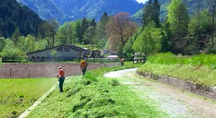 pulizia taglio erba giudicarie