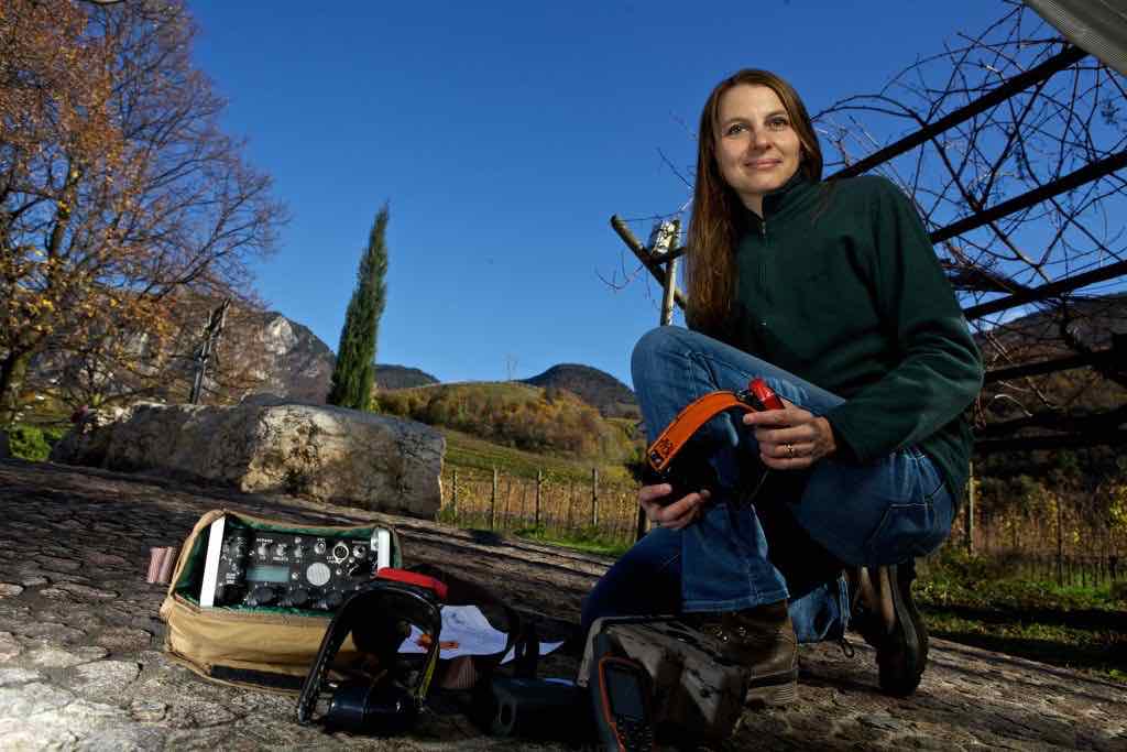 Francesca Cagnacci - FEM