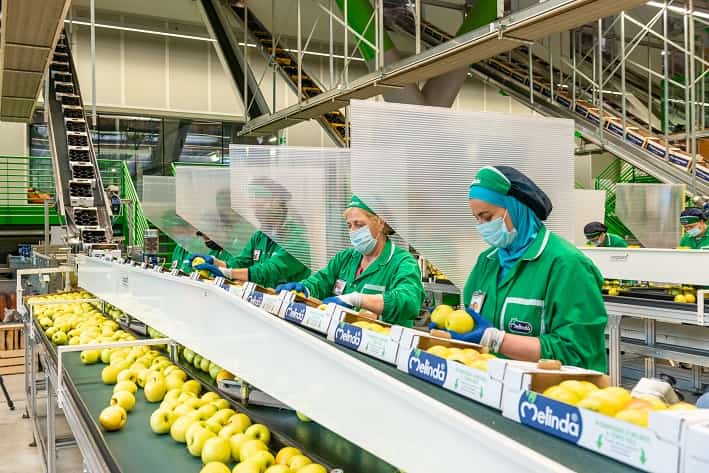 Sala di lavorazione - Melinda