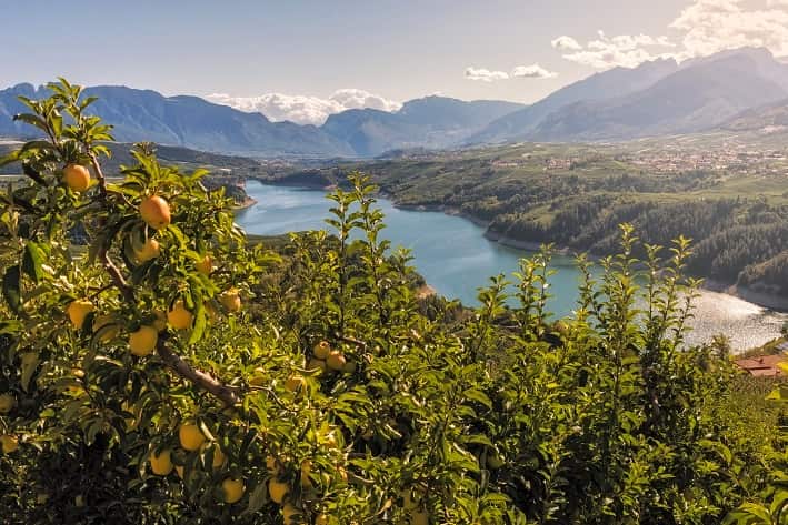 Val di Non Melinda