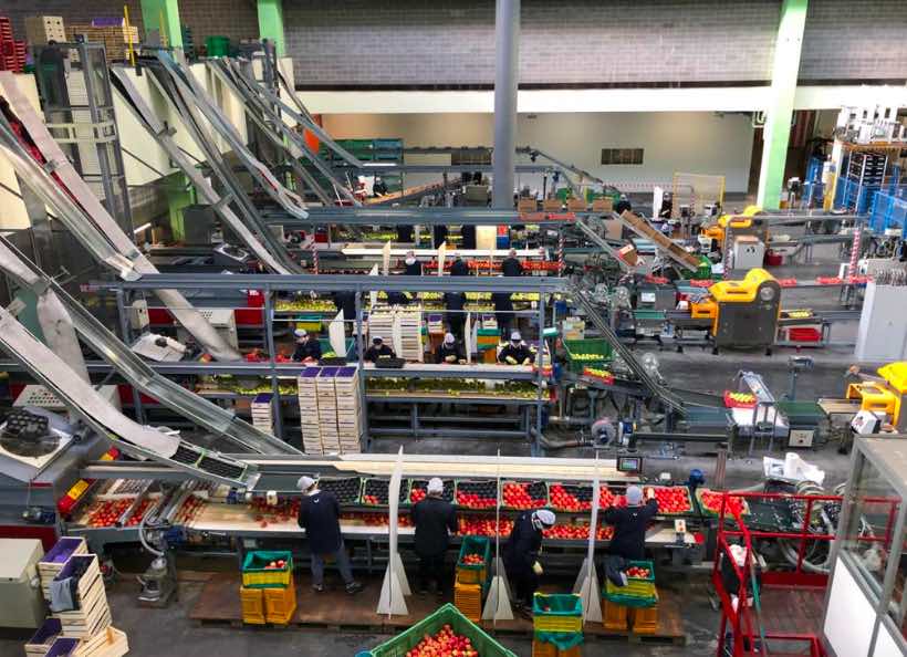 lavori fabbrica la trentina mele