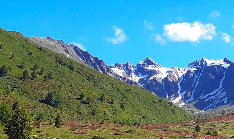 valtellina parco stelvio montagne gdv