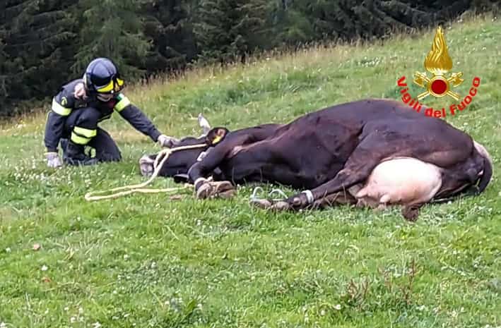 Malga - Paisco - recupero - vigili fuoco