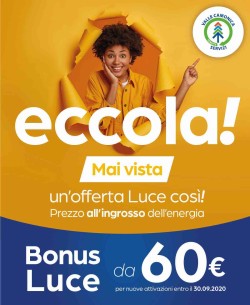 eccola2