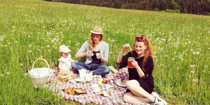 pic nic cimbra
