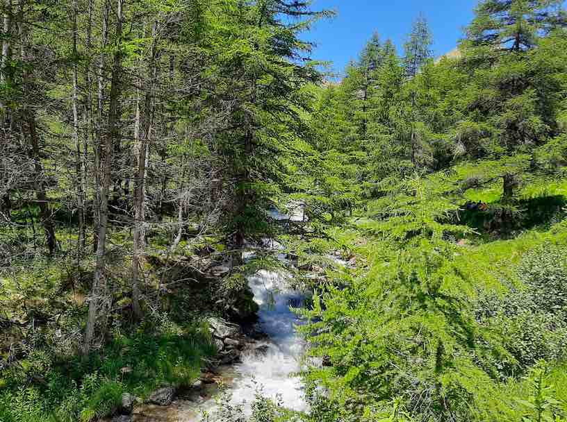 ruscello montagna natura verde estate sole