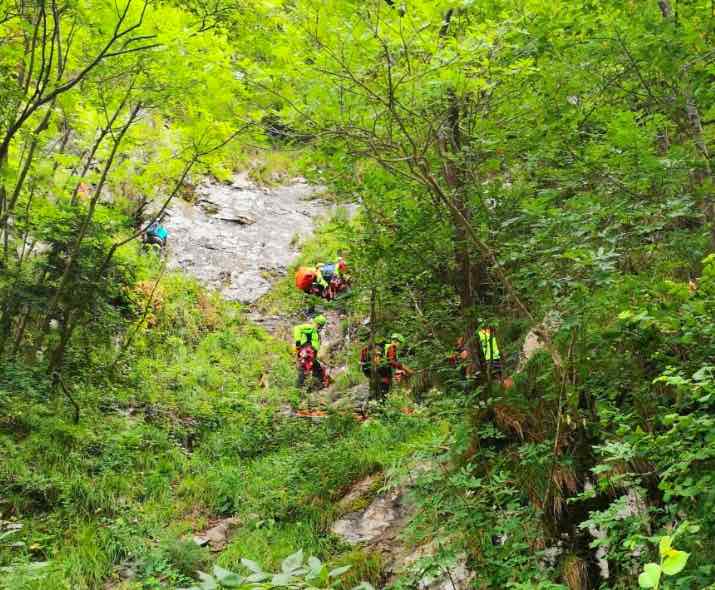 soccorso alpino bosco tn