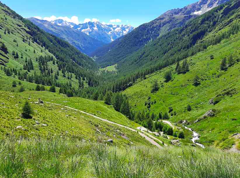 valle delle messi escursione passeggiata montagna gavia