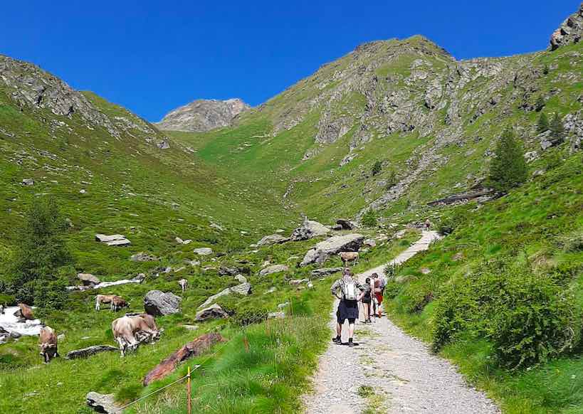 valmalza valle messi montagna natura camminata outdoor