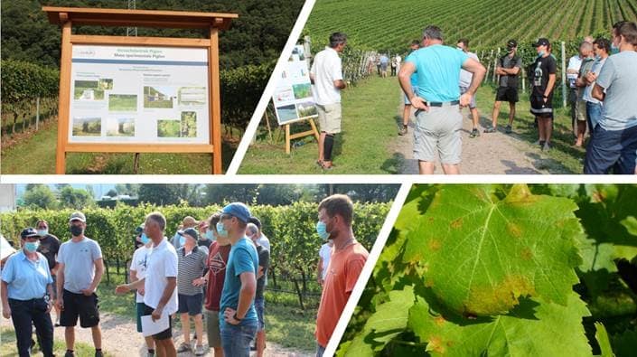 Incontro Piccolungo - foto credit Centro di Sperimentazione Laimburg