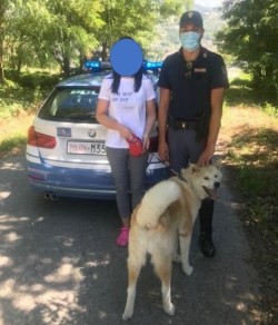cane - Polstrada - Sondrio