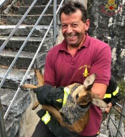 capriolo vigili del fuoco sondrio 02
