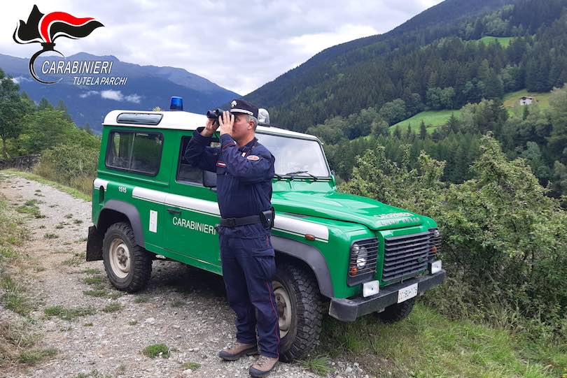 carabinieri forestali