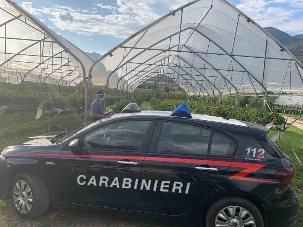 carabinieri serra agricoltura
