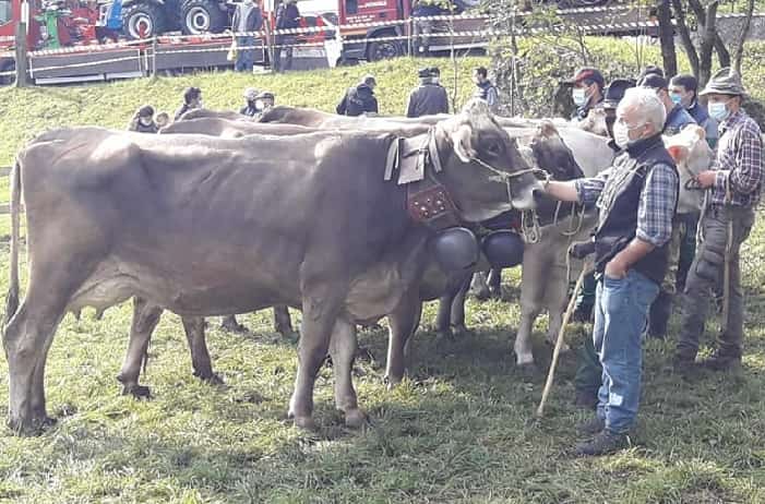 Fiera San Gallo Malonno