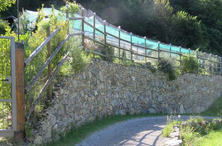 Polonioli . Cimbergo - orto