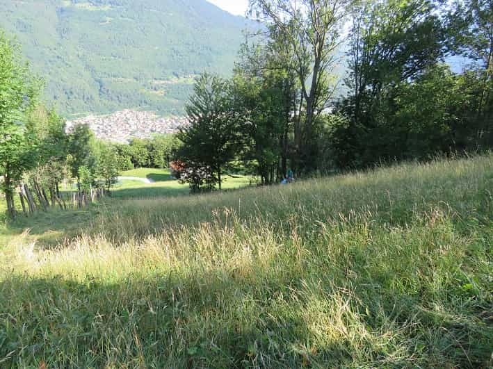 VALLE CAMONICA - Vezza d'Oglio: contributi per sfalcio terreni agricoli incolti