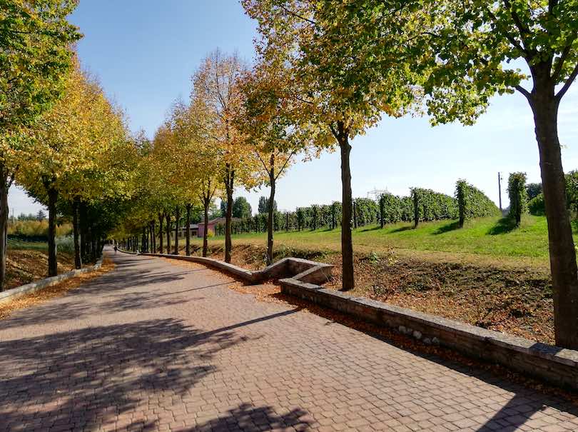 cantina borgo la caccia 3