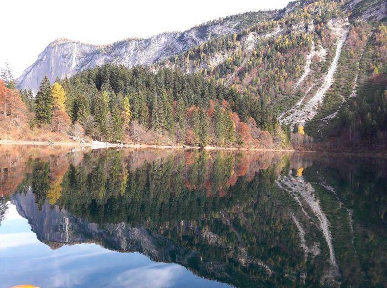 fem lago tovel