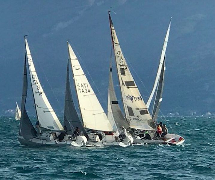 regata odio