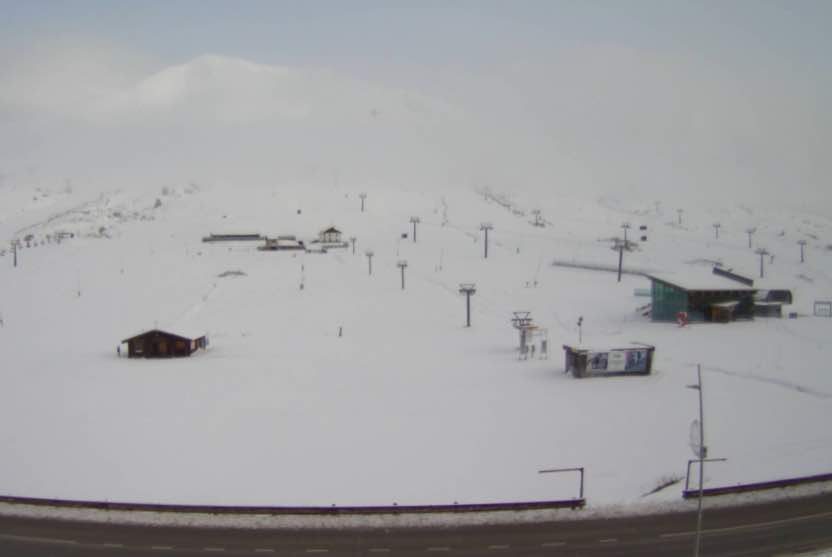 tonale neve