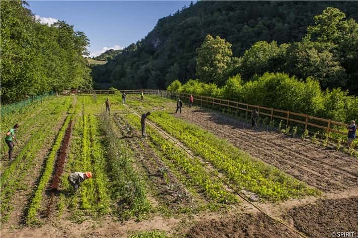 Soul Garden - foto credit Cooperativa sociale Spirit