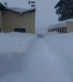 PassoTonale neve