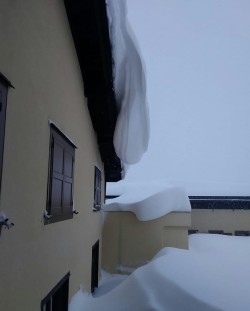Tonale - Neve 01 Gdv