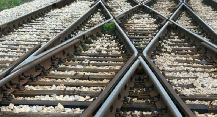 ATTUALITÀ - Europa Verde dice no alla bretella stradale Capriolo-Sarnico