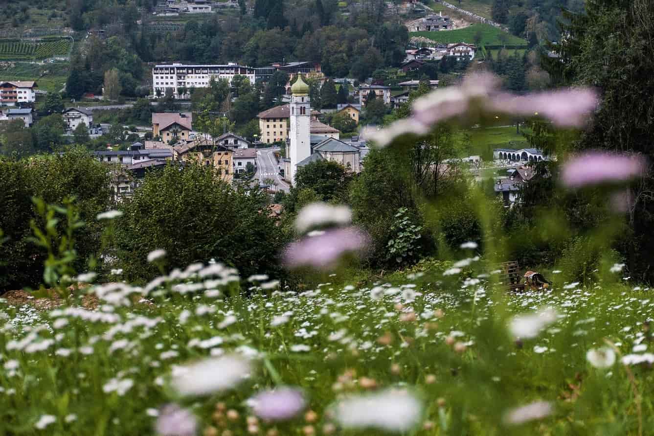 CAMPIGLIO - In Val Rendena e Valle del Chiese la Ciclovia dei fiori: tutte le iniziative