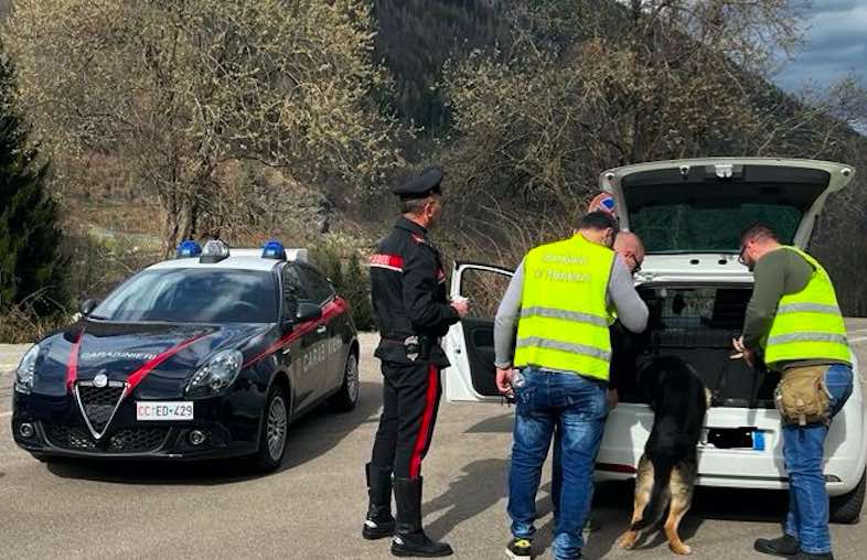 CRONACA - Operazione Insolent: proseguono le indagini dei carabinieri di Cles