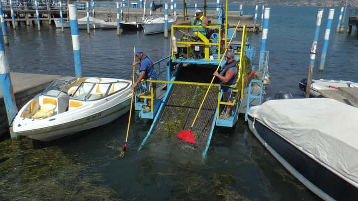 SEBINO - Lago d'Iseo: battello spazzino in azione per la raccolta delle macrofite