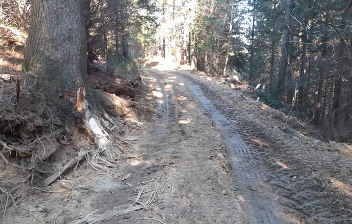 ATTUALITÀ - Sistemazione strade forestali, più di tre milioni alla Valle Camonica