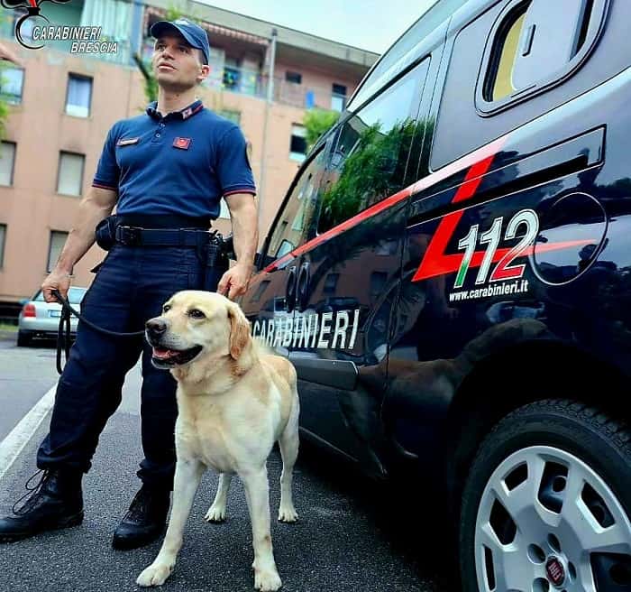 CRONACA - Spaccio nel Bresciano: nove ordinanze di misure cautelari