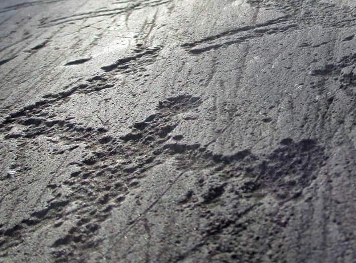 VALLE CAMONICA - I vent'anni del Parco archeologico di Seradina e Bedolina