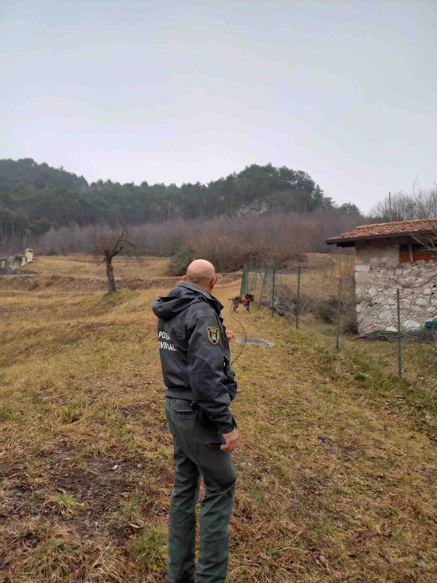 CRONACA - Abbatte capriolo in Alta Valle Camonica, denunciato bracconiere