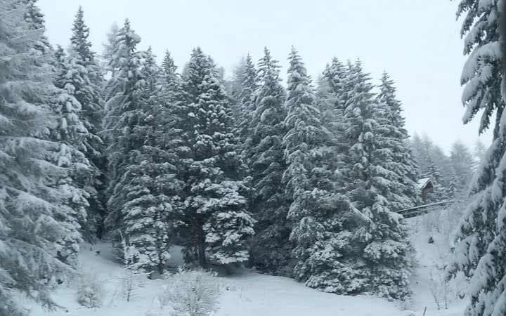 TONALE - Meteo, precipitazioni nevose in Lombardia e Trentino