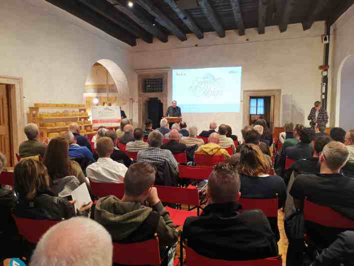 DIMARO - Val di Sole: il sapore della tradizione conquista l’asta dei formaggi di malga