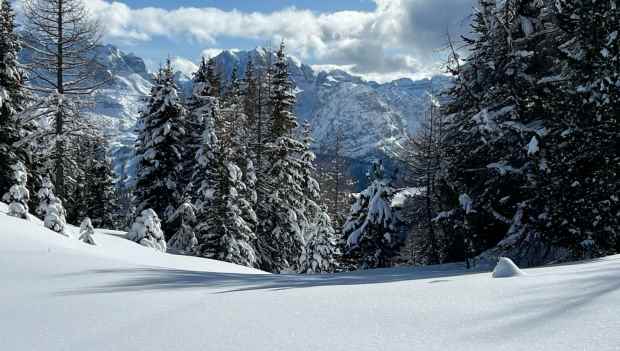 TRENTINO - Skiarea Campiglio Dolomiti di Brenta, le opportunità per gli sciatori